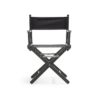 Low Director Chair in Beech (Black)